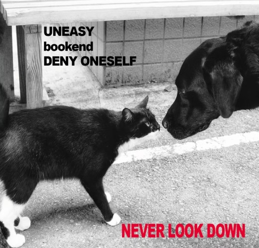 NEVER LOOK DOWN / UNEASY + bookend + DENY ONESELF